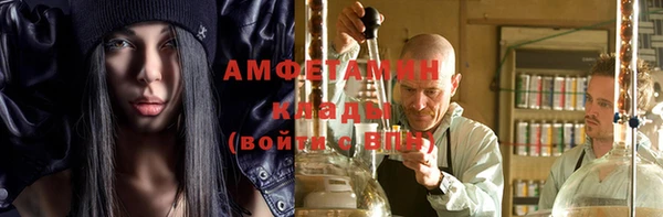 стафф Алексин