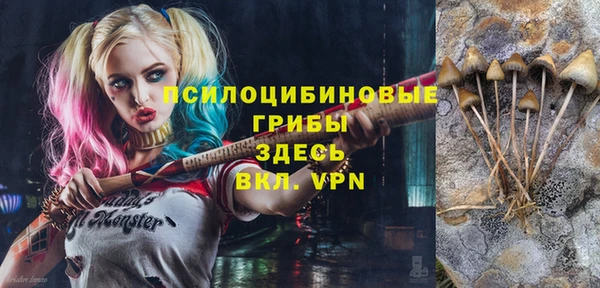 стафф Алексин