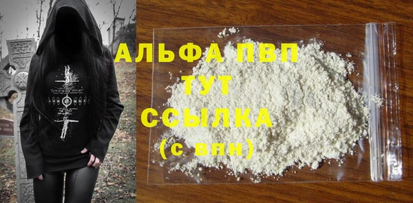 стафф Алексин