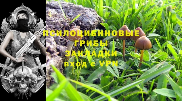стафф Алексин