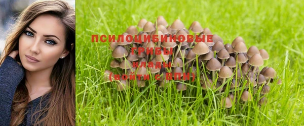 метадон Алзамай