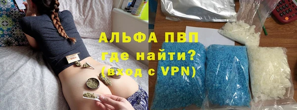 стафф Алексин