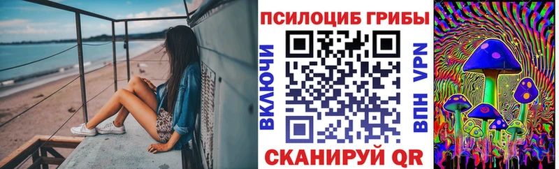 Псилоцибиновые грибы Magic Shrooms  Новопавловск 